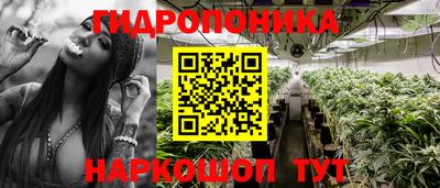 apvp Рязань